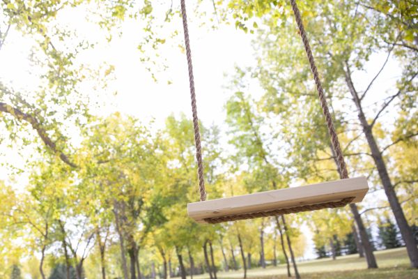 Cost of Tree Swing Installation in Arroyo Grande