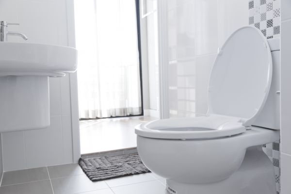 Cost of Toilet Seat Installation in Arroyo Grande