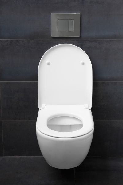 Cost of Toilet Lid Installation in Arroyo Grande