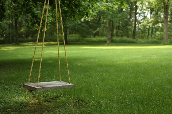 Cost of Rope Swing Installation in Arroyo Grande