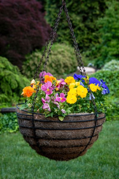 Cost of Hanging Basket Installation in Arroyo Grande