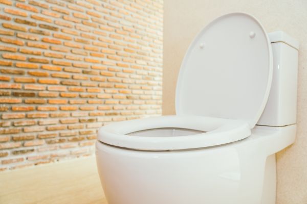 Toilet Seat Repair